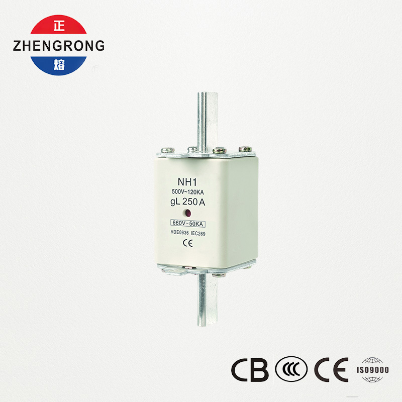 CE at IEC Certified Fuse Link NH1 500V 250A High Breaking Capacity