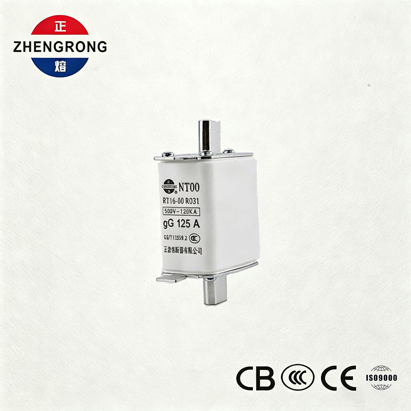 High Breaking Capacity NT00 125A Fuse - 500V 120kA Ceramic gG Fuse Link