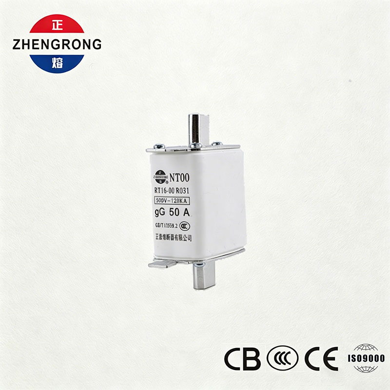 High Breaking Capacity NT00 50A Fuse - 500V 120kA Ceramic gG Fuse Link