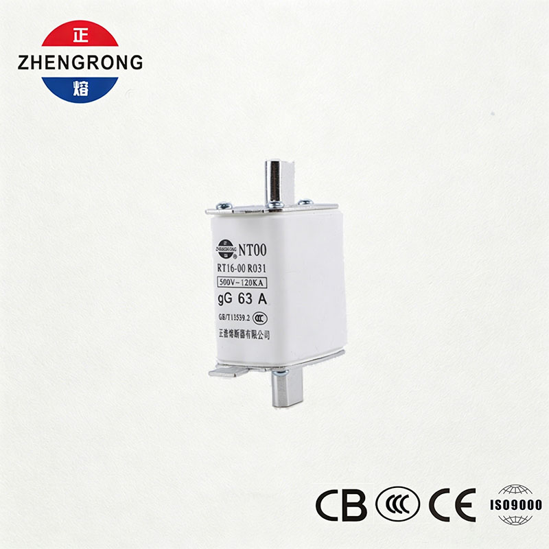 High Breaking Capacity NT00 63A Fuse - 500V 120kA Ceramic gG Fuse Link