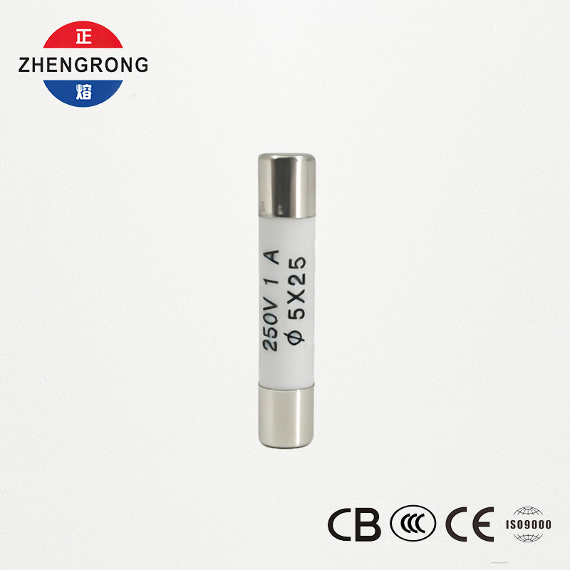 De-kalidad na 5x25mm R055 1A Fuse para sa Wholesale Buyers