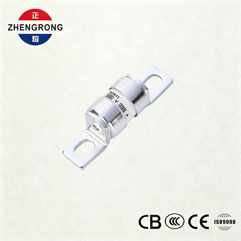RGS11 100A 500V Fast-Acting Ceramic Fuse