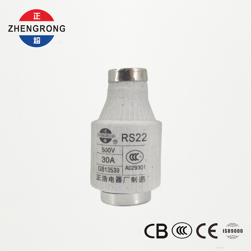 RS22 30A 500V Fast-Acting Screw-Type Fuse | Proteksyon ng Semiconductor